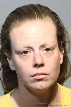 Mugshot of CASEY LYNN GLISSON