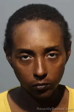 Mugshot of LISA BAUGH