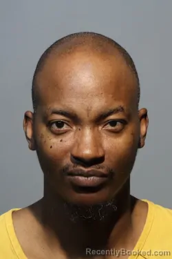 Mugshot of ROBERT ANDERSON