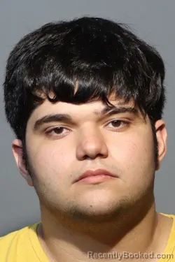 Mugshot of LUIS GABRIEL TORRES