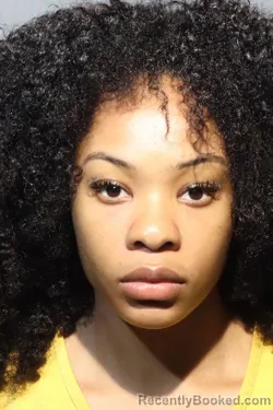 Mugshot of KARYELLE JAHMEIKA WILSON