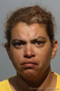 Mugshot of ILEANA LOPEZ