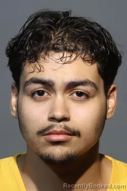 Mugshot of SEBASTIAN DARYEL RODRIGUEZ