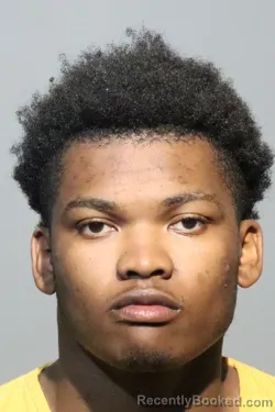 Mugshot of REYMONIE JERMAINE DAVIS