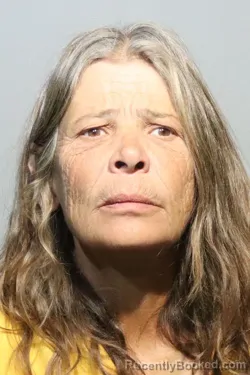 Mugshot of SHELLY JEAN HOOKER