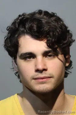 Mugshot of DANIEL PALACIO