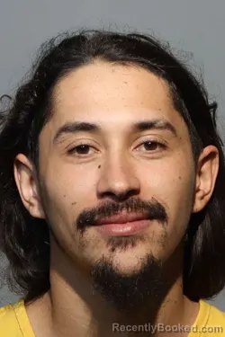 Mugshot of TAYSON SANTIAGO