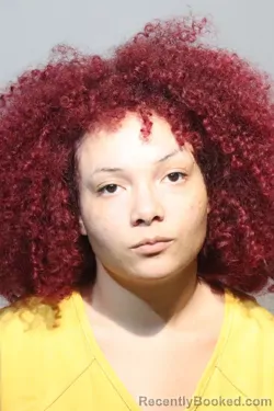 Mugshot of SHANTEL ROSE DONSON