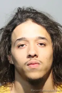 Mugshot of ANTHONY WILSON