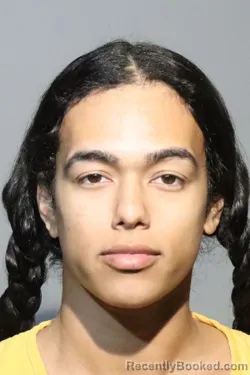 Mugshot of CHLOE RODRIGUEZ
