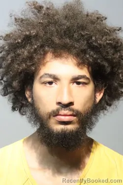 Mugshot of DOMINIQUE BETANCOURT
