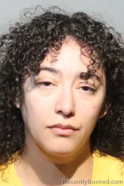 Mugshot of MILEDYS TOLENTINO