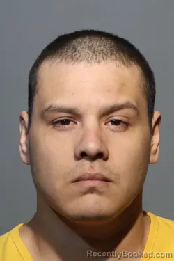 Mugshot of ROLANDO SAUCEDO