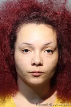 Mugshot of SHANTEL ROSE DONSON