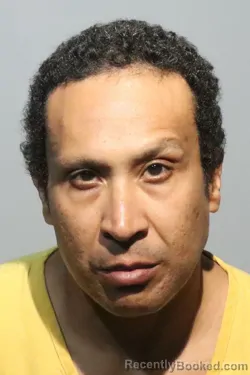 Mugshot of SHAMSI LEE LEBRON