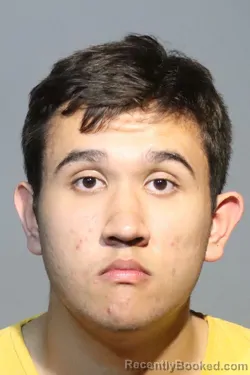 Mugshot of RUSLAN V YEPIKHIN