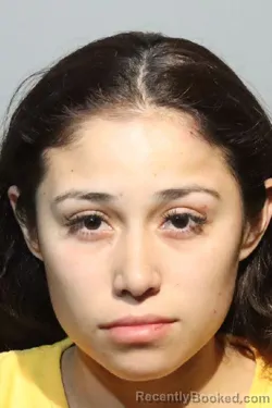 Mugshot of DANNA PAOLA PEREZ-VELAZQUEZ