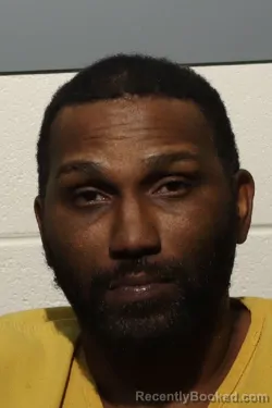 Mugshot of FABIEN ROBINSON