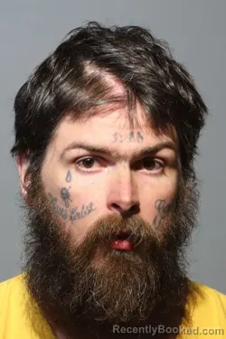 Mugshot of ALEXANDER MARINO