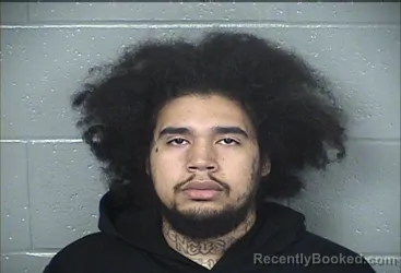 Mugshot of JON D RAYA