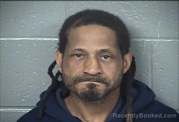 Mugshot of RONALD IRVIN JOHNSON