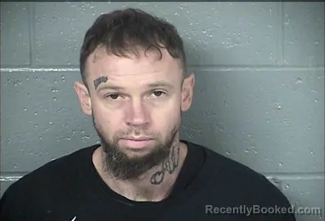 Mugshot of WILLIAM ANDREW MATHES