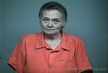 Mugshot of DIANE C VIRGIN