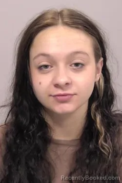 Booking photo from Allen County, Ohio