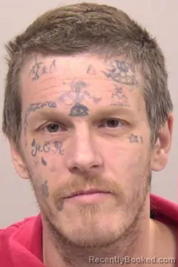 Mugshot of Ryan Lee Wilhelm