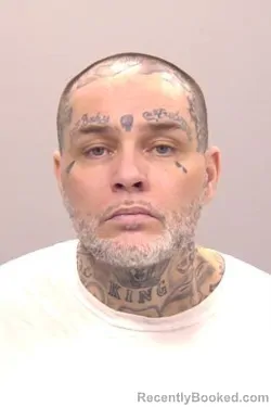 Mugshot of Joshua Allan King