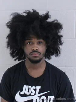 Mugshot of JAQUEL CALLOWAY