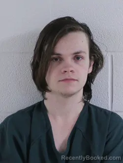 Mugshot of DAMIAN MICHAEL BRANT