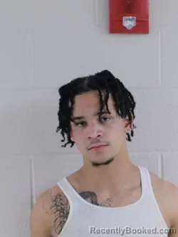 Mugshot of JOVAN A LOVE