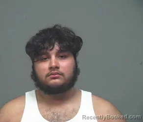 Mugshot of JOSUE ROLANDO TEO