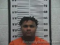 Mugshot of Tiquise Dewayne Perkins