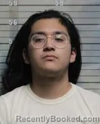 Mugshot of OSCAR DIAZ PALMA