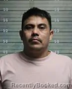 Mugshot of NELSON ALEJANDRO GUERRA FAJARDO
