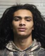 Mugshot of RAMO'N TAYEV'ON LOVETT