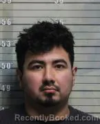Mugshot of NELSON OSMAR GAMEZ DELCID