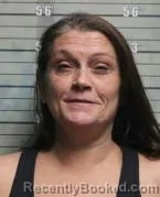 Mugshot of ANDREA FAYE GILBERT