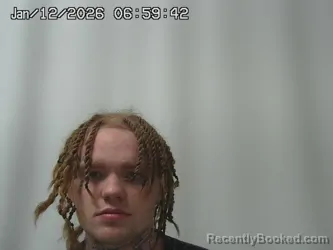 Mugshot of GREGORY WORKMAN