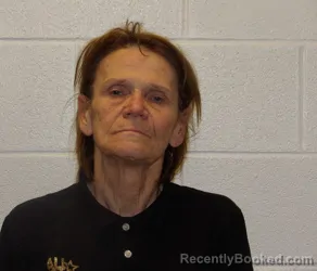 Mugshot of VICTORIA BASSITT