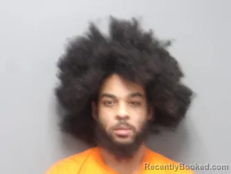 Mugshot of DAVID KENNEDY