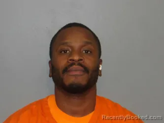 Mugshot of ADAM WELLS