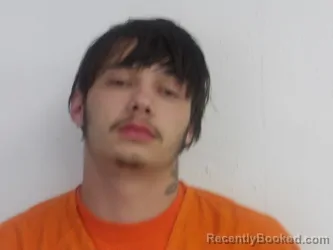 Mugshot of OWYN MULVEY