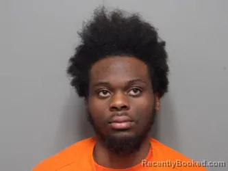 Mugshot of RAMAZANI SALEH