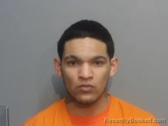 Mugshot of YAN CARRION