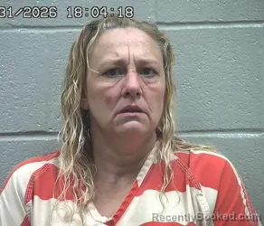 Mugshot of MICHELLE KAY WEBB