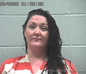 Mugshot of BRITTANY LACE FREEMAN