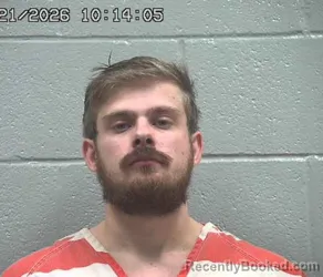 Mugshot of BRIGADE WESLEY-CONRA PARKER